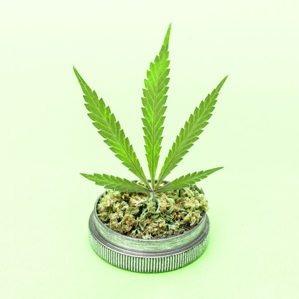 Container-of-marijuana-buds-with-a-marijuana-leaf-sprouting-from-the-top