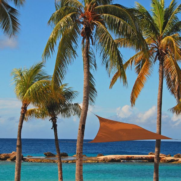 curacao-beach-crystal-blue-waters-palm-trees