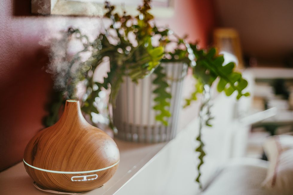 diffuser-sitting-on-a-shelf-near-a-plant