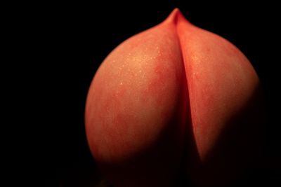 8 Butt Plugs For The Best Butt Play - xoNecole