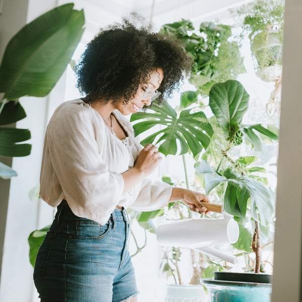 These Easy To Care For Plants Can Thrive With Little To No Sunlight