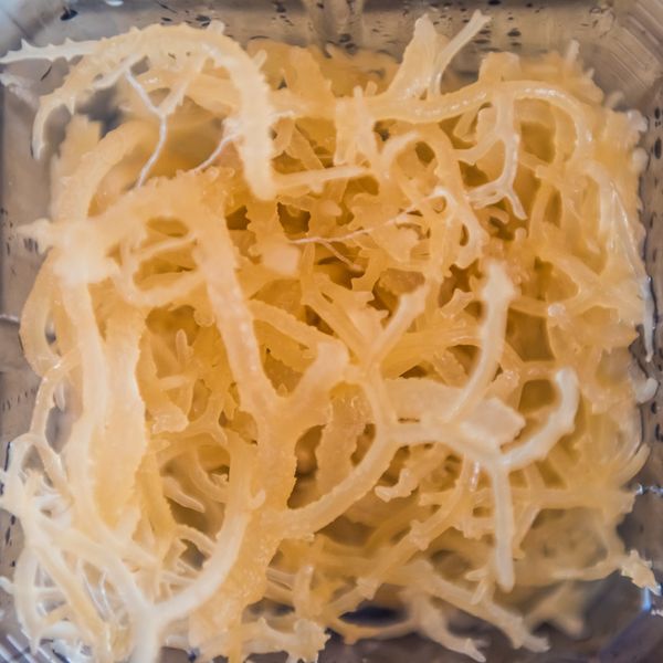 Wellness-Related Problems You Didn't Know Sea Moss Could Help Resolve