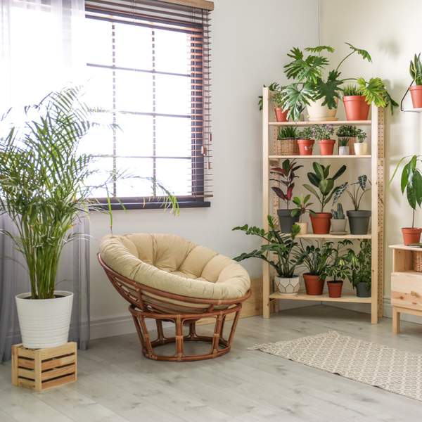 10 Instagrammable Homes Inspiring Our WFH Aesthetic