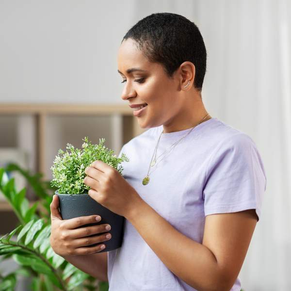 I Shamelessly Use 'Blood Tea' For My Houseplants--Here's What You Should Know