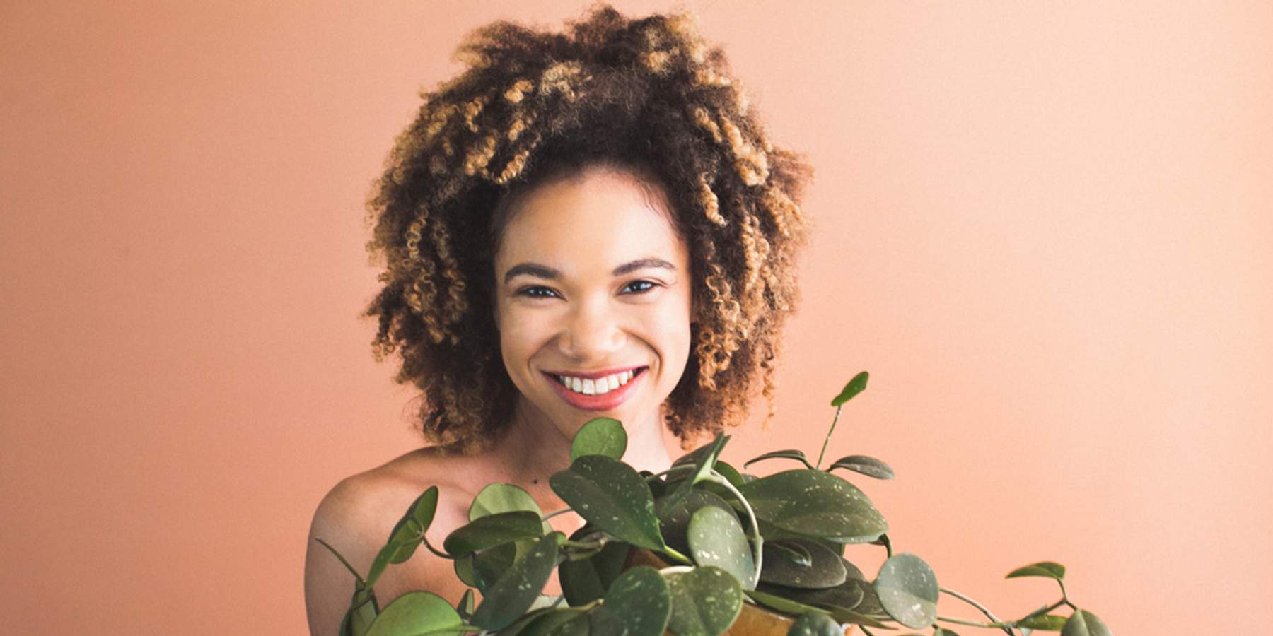 6 Easy-To-Grow Indoor Plants That Even YOU Can't Kill