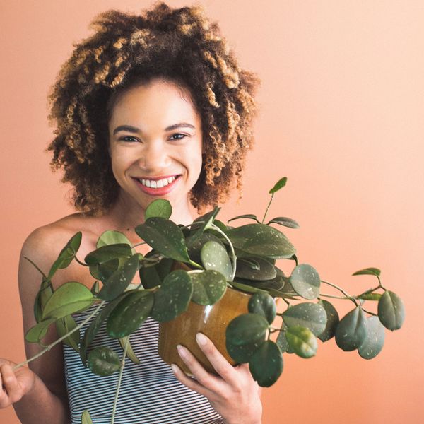 6 Easy-To-Grow Indoor Plants That Even YOU Can't Kill