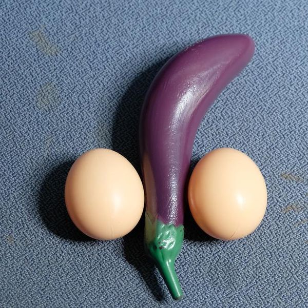 Question: Do You Enjoy Penises? Or Merely Tolerate Them?