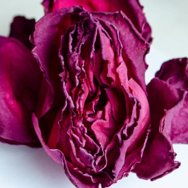 When's The Last Time You Actually Pampered Your Vagina?