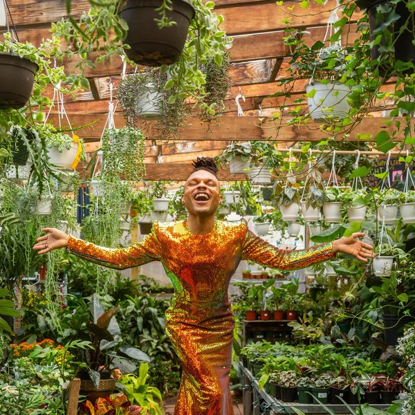 Plant Kween Puts Us On To The House Plants That Are Perfect For Spring