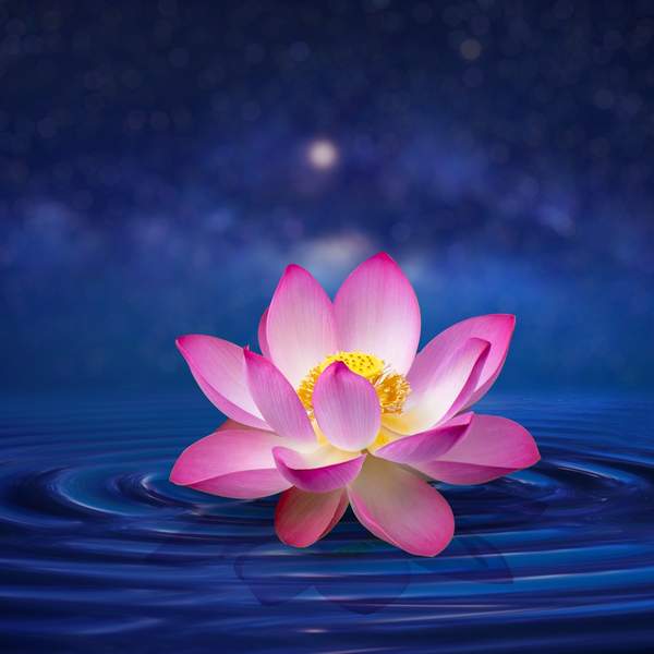 10 Ways To Develop A Deeper (Emotional) Connection With Your Vagina