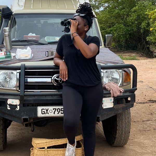 Why Your First Safari Should Be In Ghana