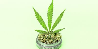 Container-of-marijuana-buds-with-a-marijuana-leaf-sprouting-from-the-top