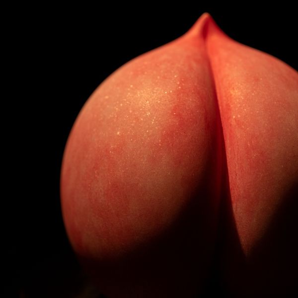 8 Butt Plugs For The Best Butt Play