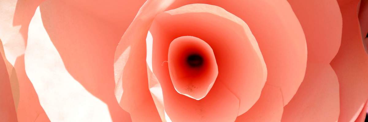 What Is Your Vaginal Microbiome? How Does It Affect Your Overall Health?