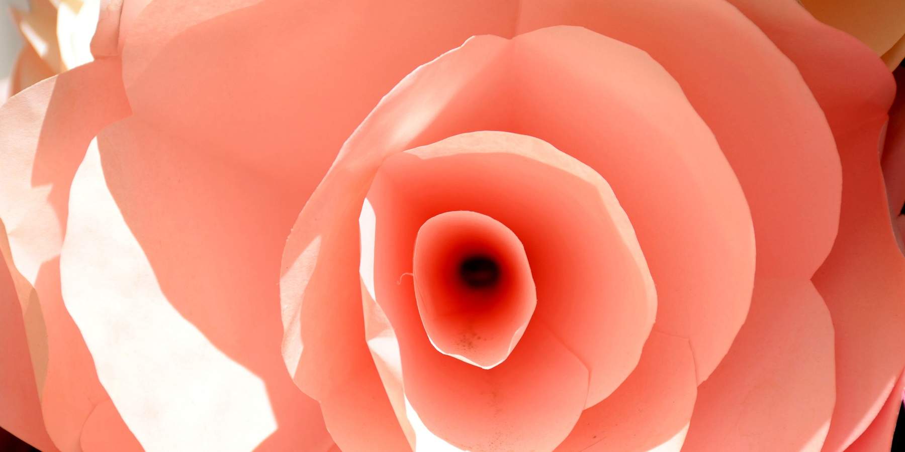 What Is Your Vaginal Microbiome? How Does It Affect Your Overall Health?