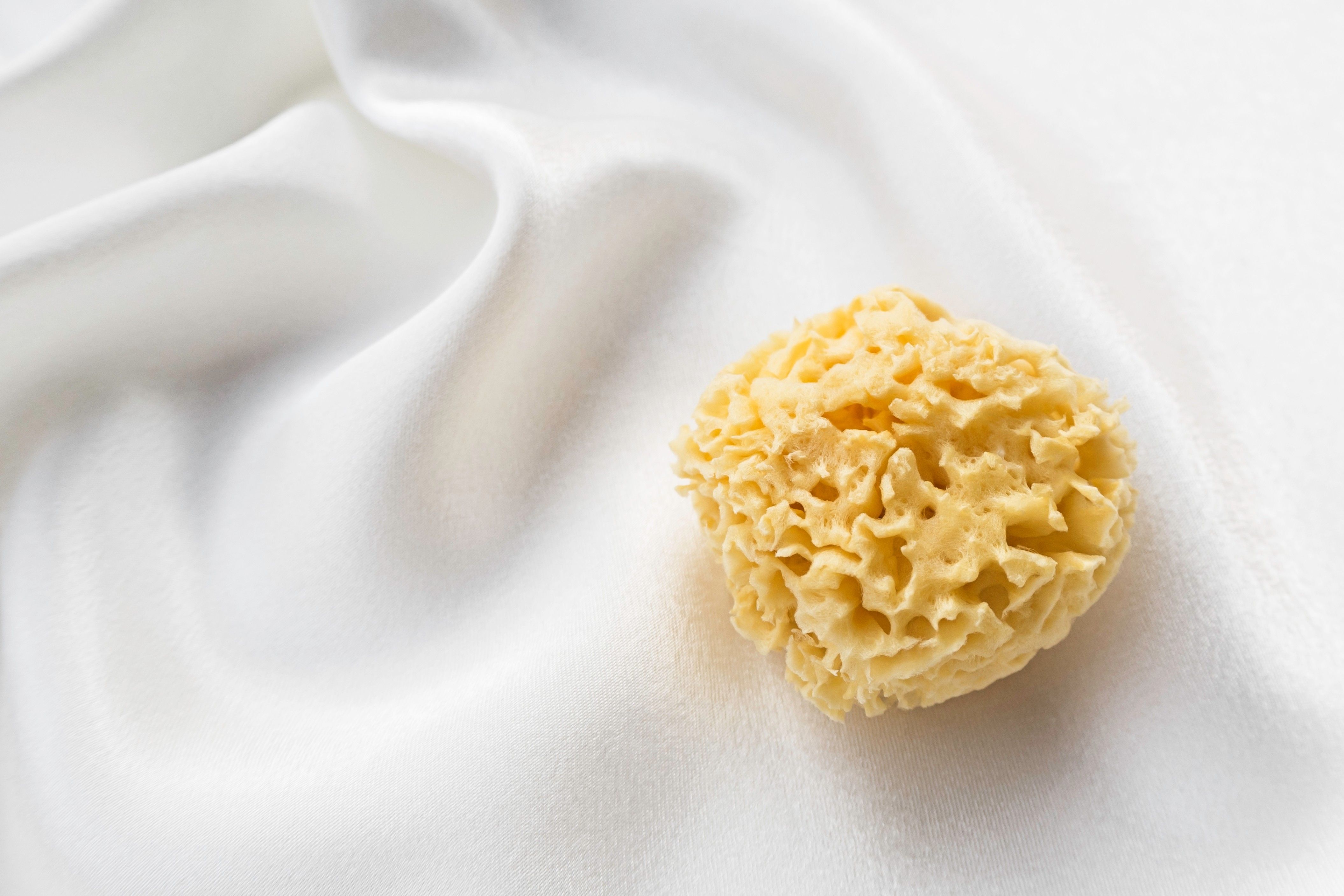 ​natural sponge on a soft white silk fabric background, top view, sea sponge natural period care 