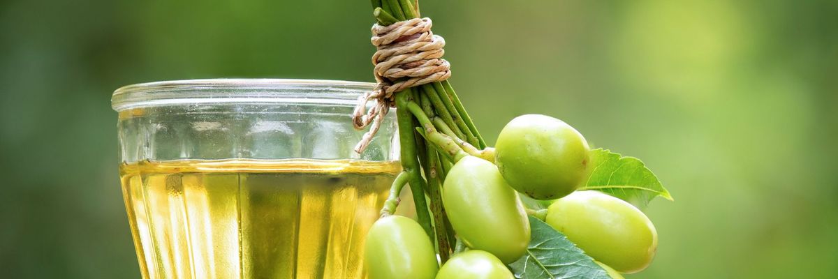 Can You Use Neem Oil As Birth Control? What (Else) Can You Use It For?