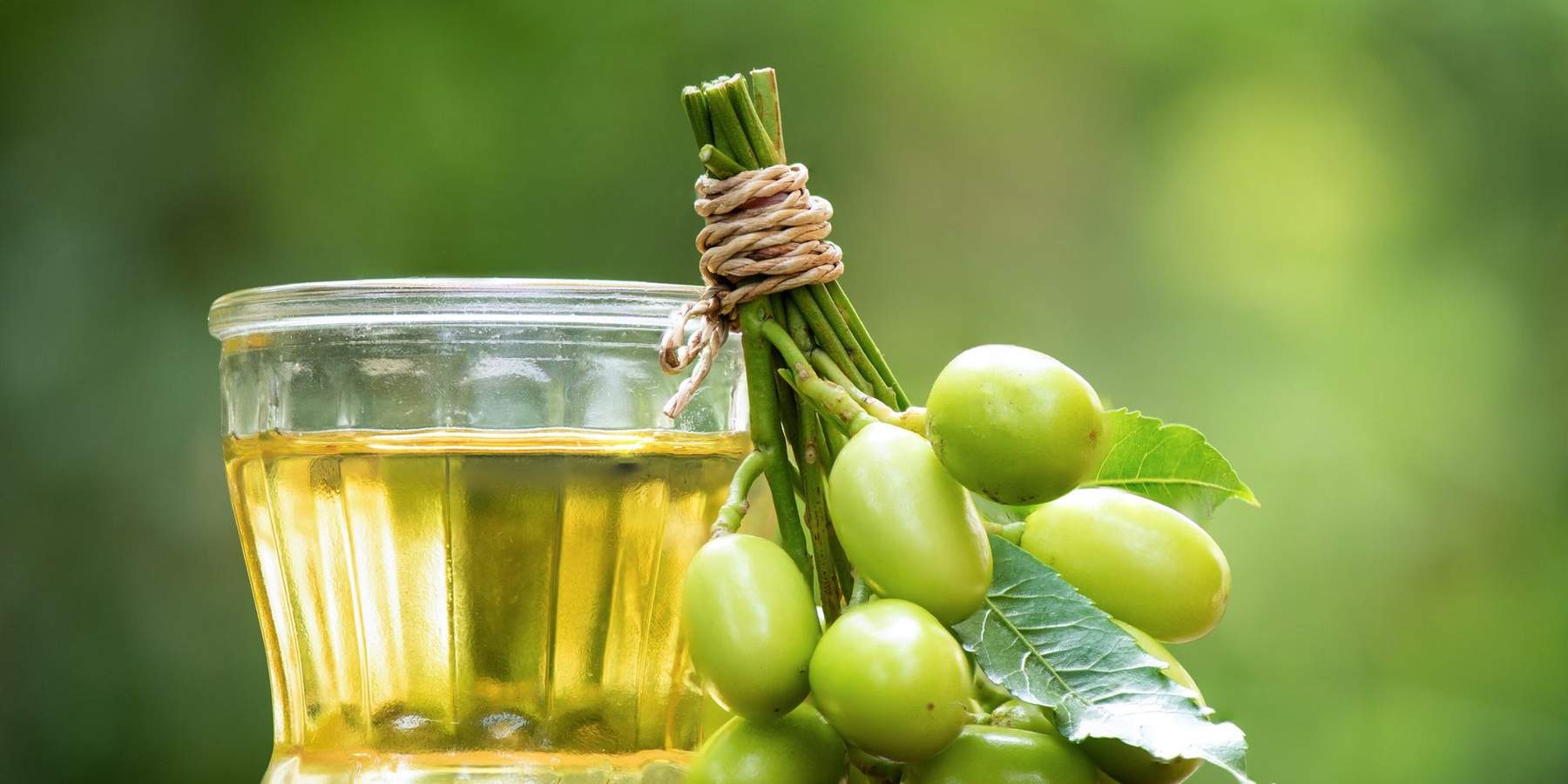 Can You Use Neem Oil As Birth Control? What (Else) Can You Use It For?