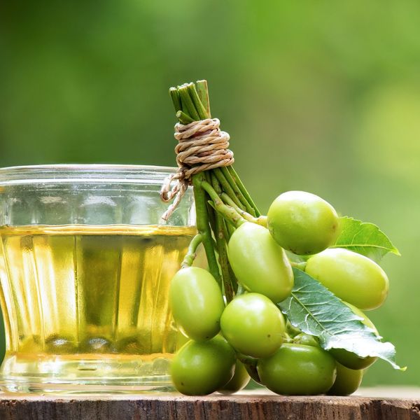 Can You Use Neem Oil As Birth Control? What (Else) Can You Use It For?