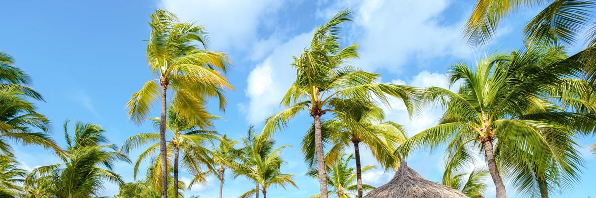 Why A Solo Trip To Aruba Was The Nervous System Reset I Needed This Winter