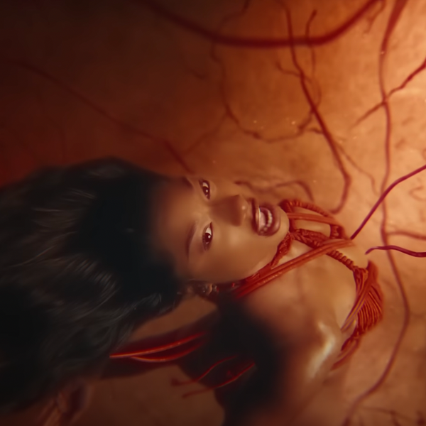 Megan Thee Stallion "Hiss" video/ YouTube