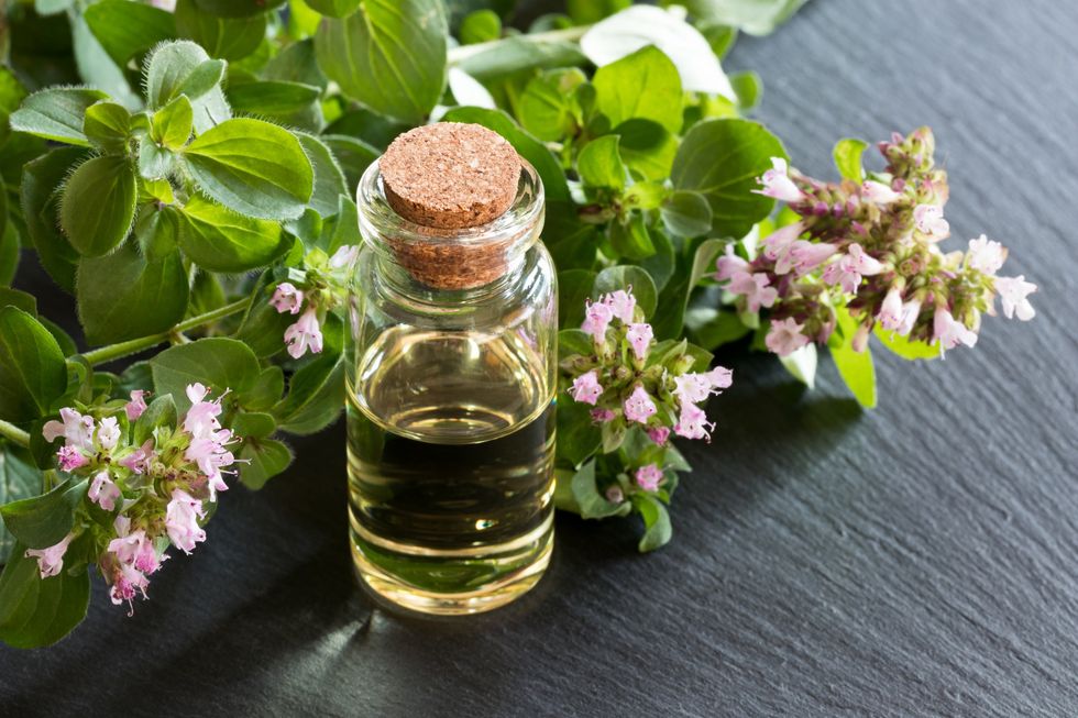 Oregano-oil-vaginal-health
