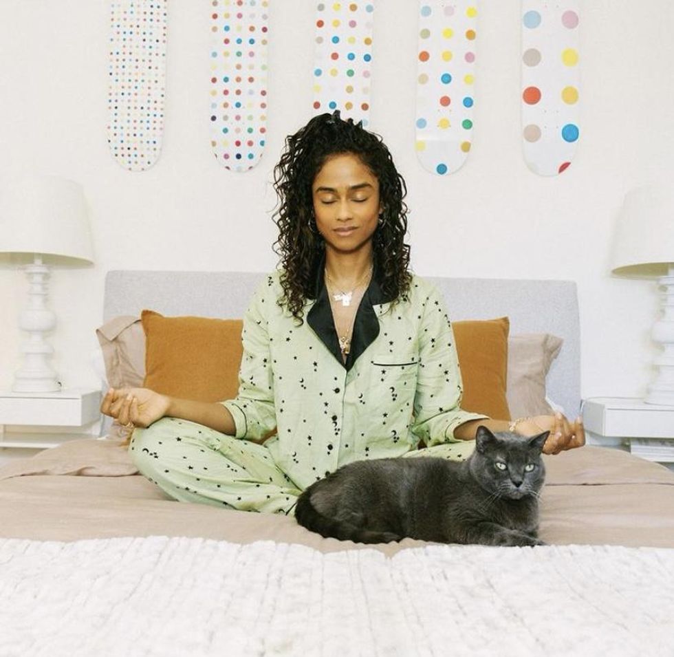 vashtie-kola-cat-meditate